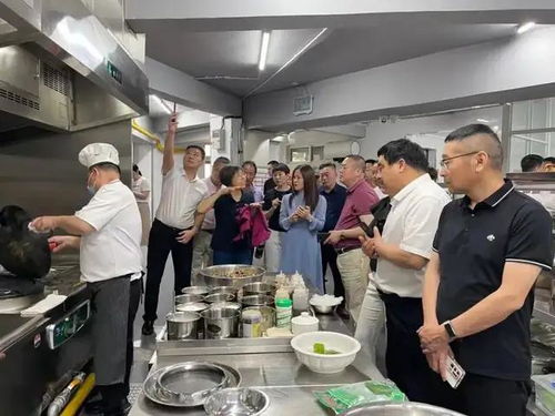 駐馬店餐協走訪四市圓滿收官，食品銷售經驗交流助力產業升級